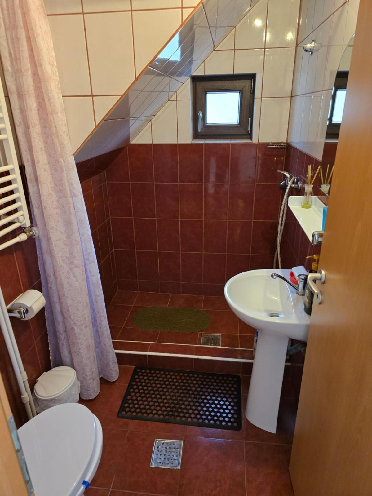 Casa Vivian Hotel Baile Herculane Bagian luar foto